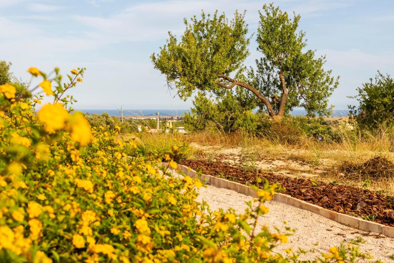 Quinta Da Baleeira Villa ตาวิรา ภายนอก รูปภาพ