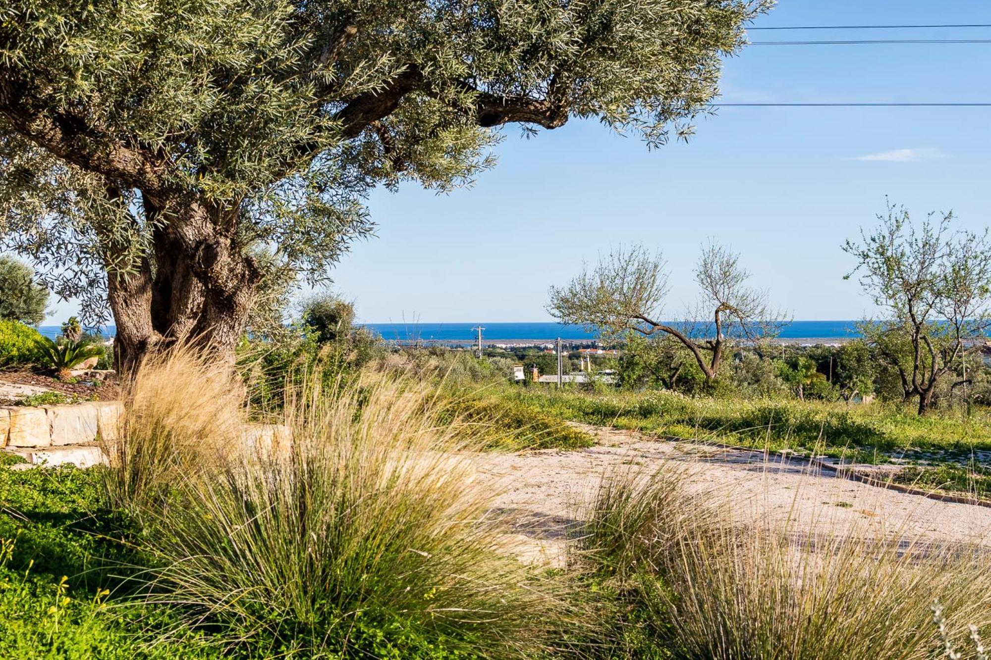 Quinta Da Baleeira Villa ตาวิรา ภายนอก รูปภาพ